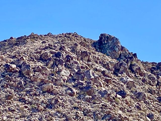 227 Sullivan Road, 29 Palms, CA 92277