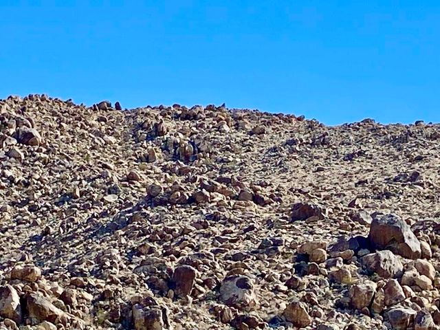 227 Sullivan Road, 29 Palms, CA 92277