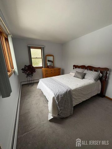 16 Skytop Road, Lebanon Twp, NJ 07853