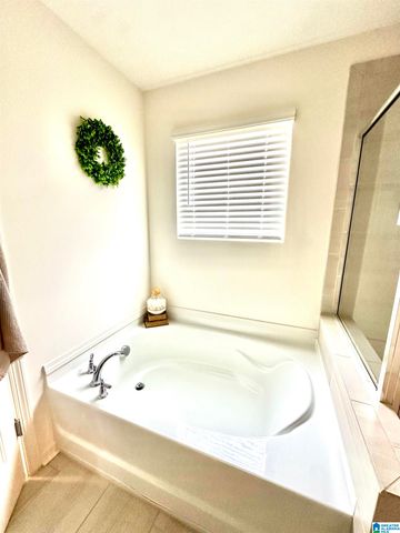 117 ROCK TERRACE CIRCLE, Helena, AL 35080