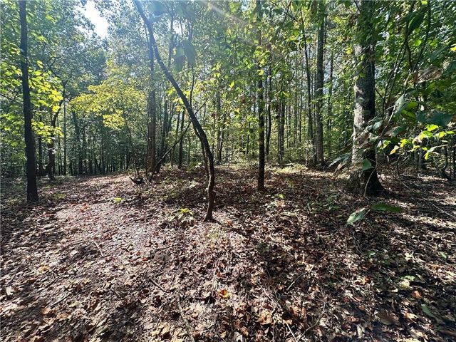 0 Frix Road, Cumming, GA 30028