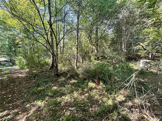 0 Frix Road, Cumming, GA 30028