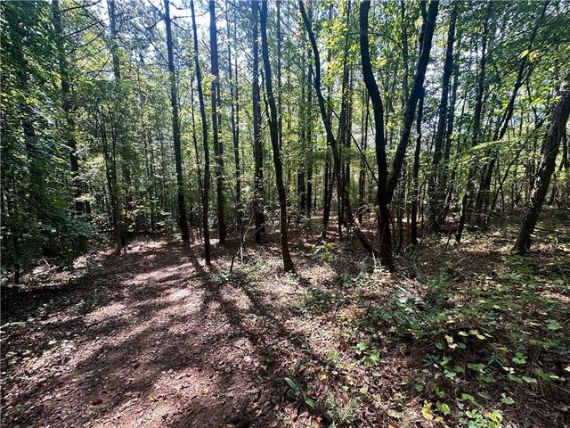 0 Frix Road, Cumming, GA 30028