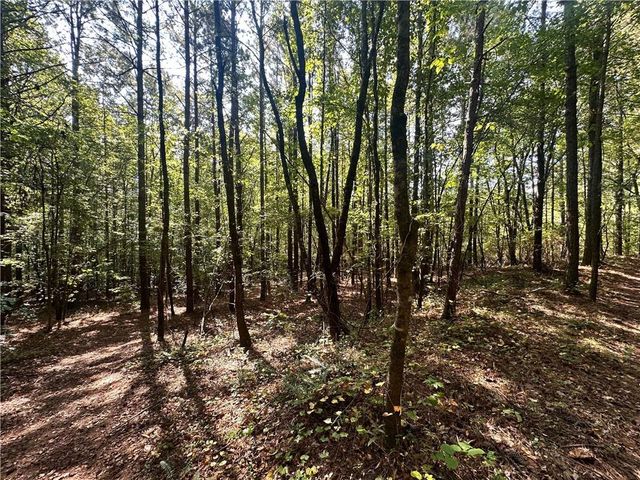 0 Frix Road, Cumming, GA 30028