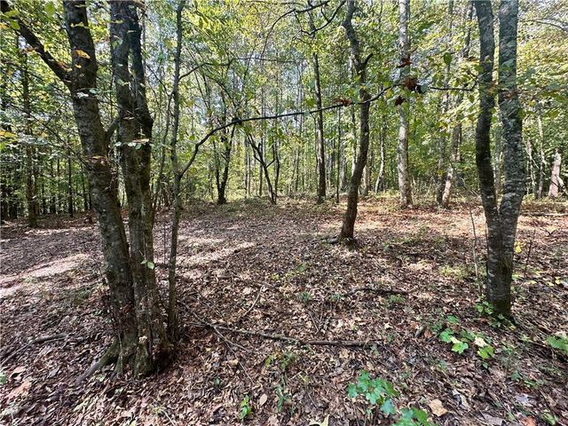 0 Frix Road, Cumming, GA 30028