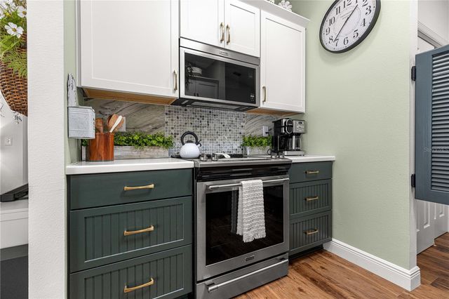 1004 DAVIT PLACE, The Villages, FL 32162