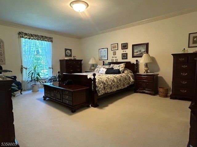 90 Locust Lake Rd, Hope Twp., NJ 07825