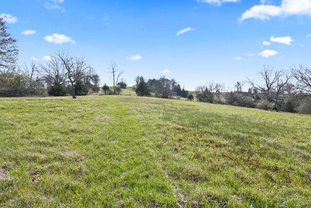 Rr1 Box 335 County Road 509 Road, Ava, MO 65608