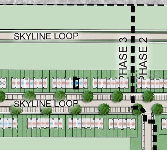 2996 SKYLINE LOOP, Kissimmee, FL 34758