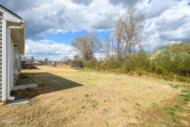 377 Rustling Way, Zebulon, NC 27597