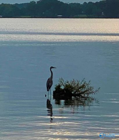 600 County Road 531 206, Centre, AL 35960