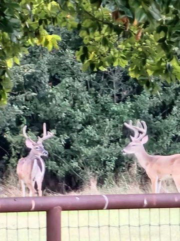 467 Wilderness Trail, Royse City, TX 75189