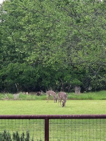 467 Wilderness Trail, Royse City, TX 75189