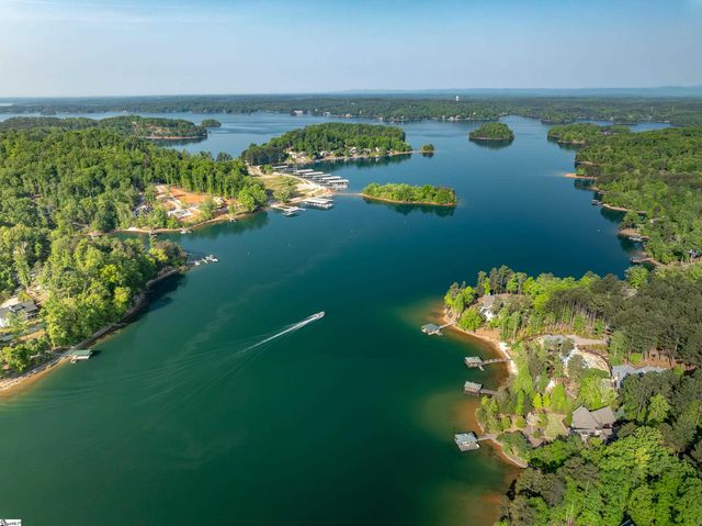 118 Squirrel Point, Six Mile, SC 29682