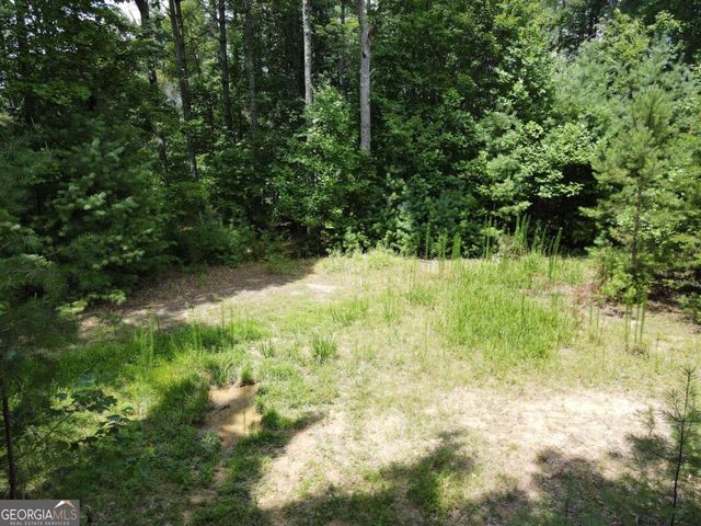 LOT 3 Scouts Overlook Lane, Morganton, GA 30560