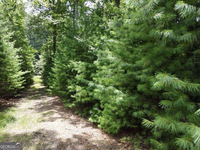 LOT 3 Scouts Overlook Lane, Morganton, GA 30560