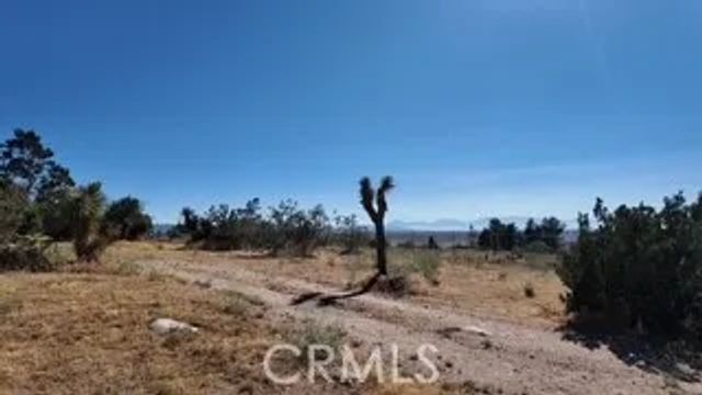 7676 Juniper, Apple Valley, CA 92308