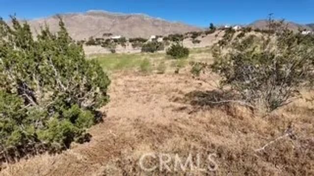 7676 Juniper, Apple Valley, CA 92308
