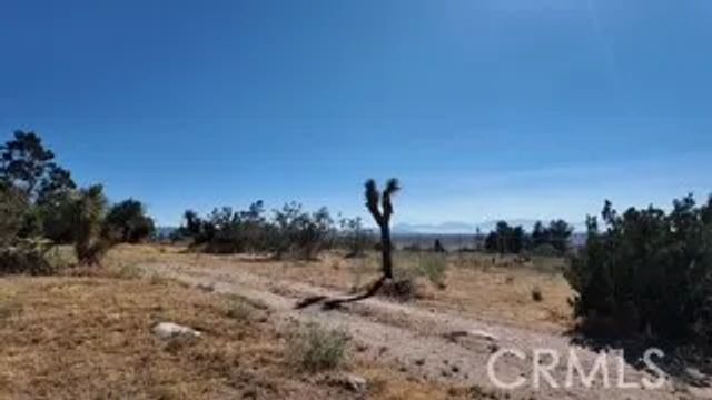 7676 Juniper, Apple Valley, CA 92308