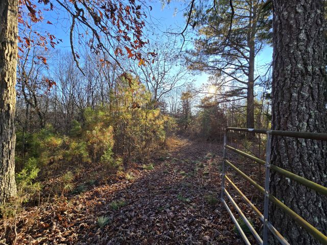 601 Anglin Ridge Rd, Dover, TN 37058