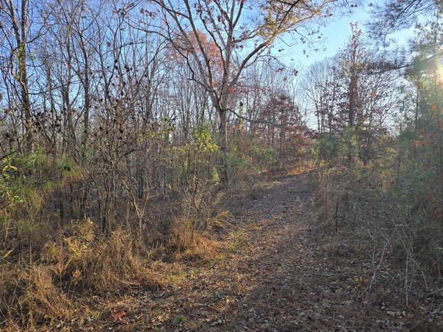 601 Anglin Ridge Rd, Dover, TN 37058