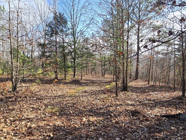 601 Anglin Ridge Rd, Dover, TN 37058