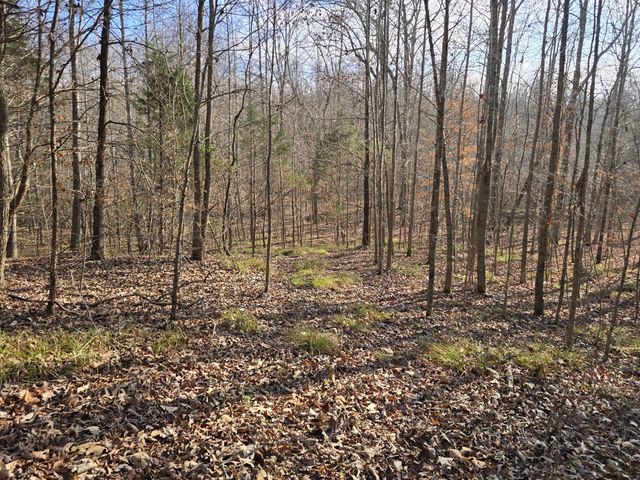 601 Anglin Ridge Rd, Dover, TN 37058