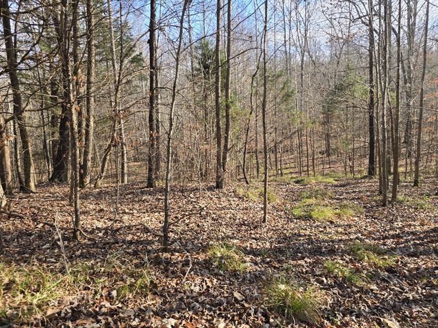 601 Anglin Ridge Rd, Dover, TN 37058