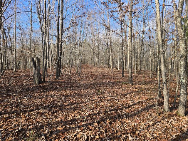 601 Anglin Ridge Rd, Dover, TN 37058