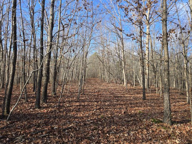 601 Anglin Ridge Rd, Dover, TN 37058