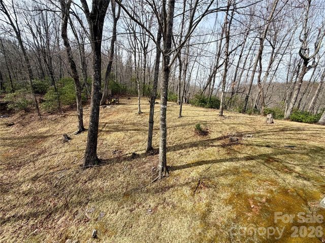 288 Willow Lane, Rosman, NC 28772