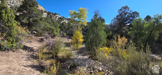 1 WILLOW CREEK RD, Salina, UT 84654