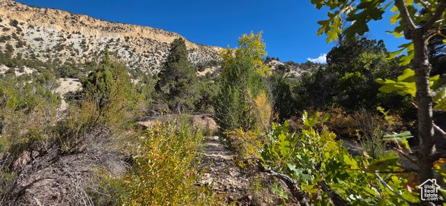 1 WILLOW CREEK RD, Salina, UT 84654