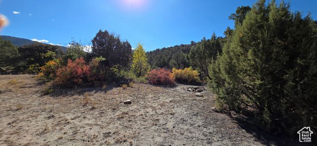 1 WILLOW CREEK RD, Salina, UT 84654