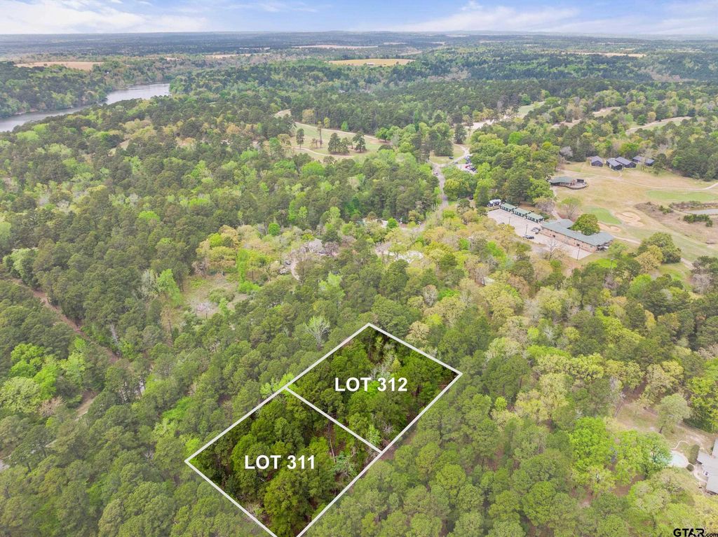 lots 312 & 311 0 private road 7119, Frankston, TX 75763