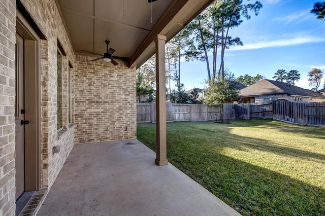 119 Winged Elm Court, Conroe, TX 77318