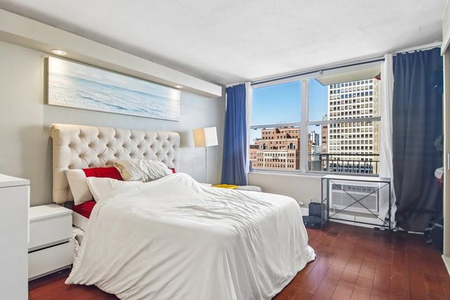 1000 N Lake Shore Drive 1604, Chicago, IL 60611