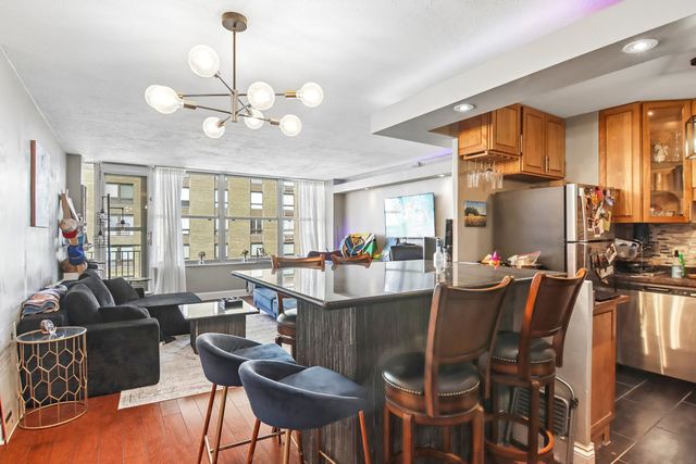 1000 N Lake Shore Drive 1604, Chicago, IL 60611