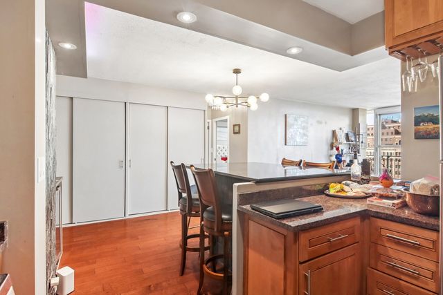 1000 N Lake Shore Drive 1604, Chicago, IL 60611