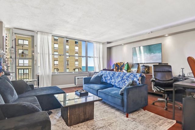 1000 N Lake Shore Drive 1604, Chicago, IL 60611