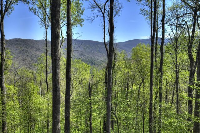 1831 Walnut Ridge, Ellijay, GA 30536