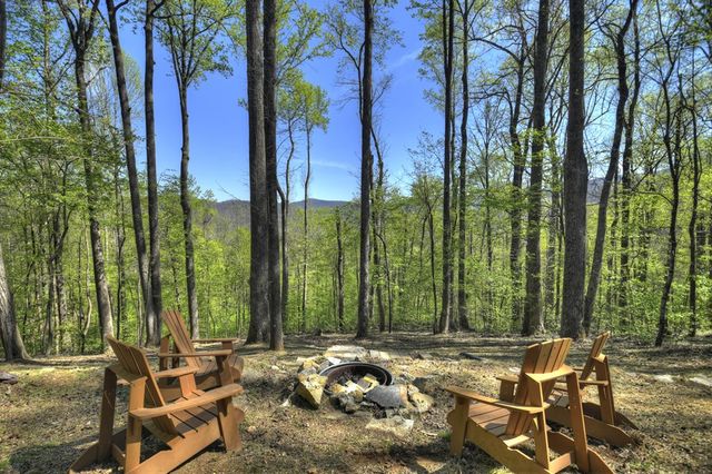 1831 Walnut Ridge, Ellijay, GA 30536
