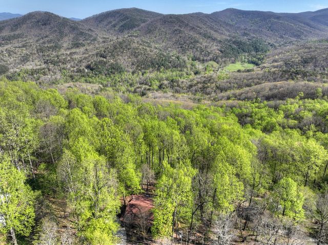 1831 Walnut Ridge, Ellijay, GA 30536