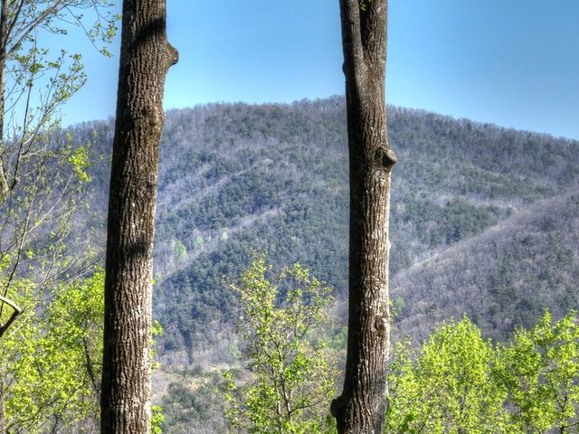 1831 Walnut Ridge, Ellijay, GA 30536