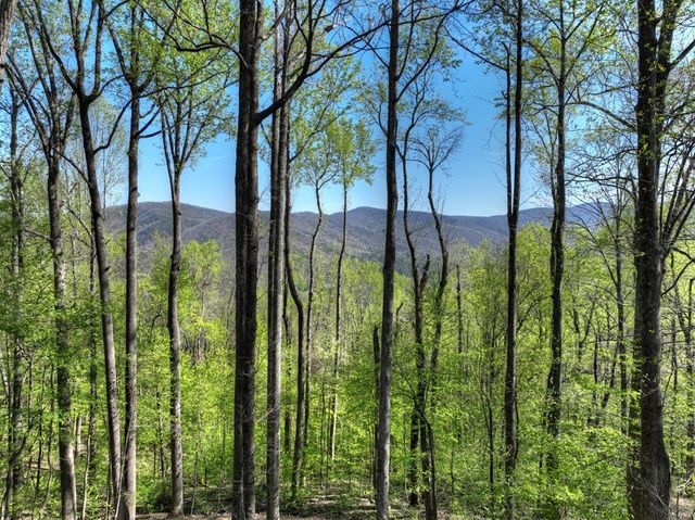 1831 Walnut Ridge, Ellijay, GA 30536