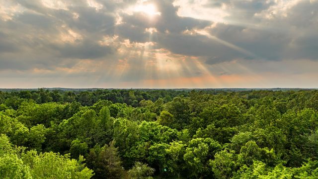 0 Robert Neal Durham, Bethpage, TN 37022