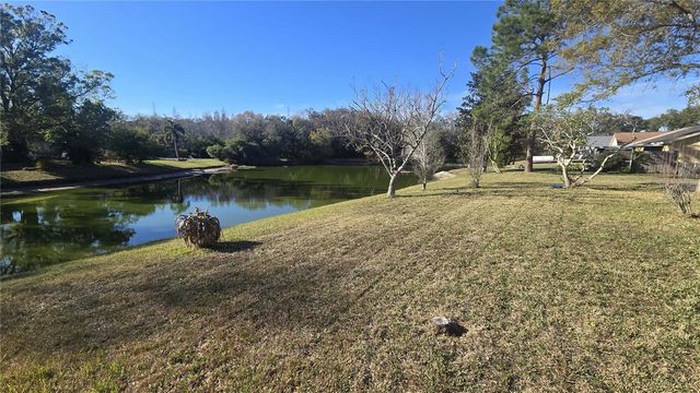 1725 ELK SPRING DRIVE, Brandon, FL 33511