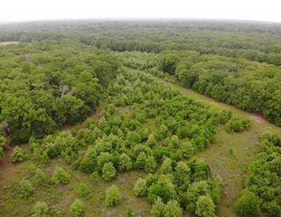 LOT 25 Rains County Road 2610, Alba, TX 75410
