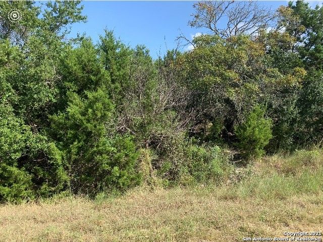 1850 Soaring Eagle Dr, Fischer, TX 78623