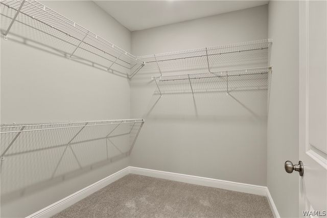 2402 Prince, Tuscaloosa, AL 35401